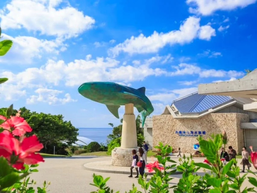 North Okinawa Sightseeing Tour & Churaumi Aquarium